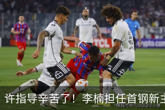 许指导辛苦了！李楠担任首钢新主帅 赵睿态度非争冠唯一障碍